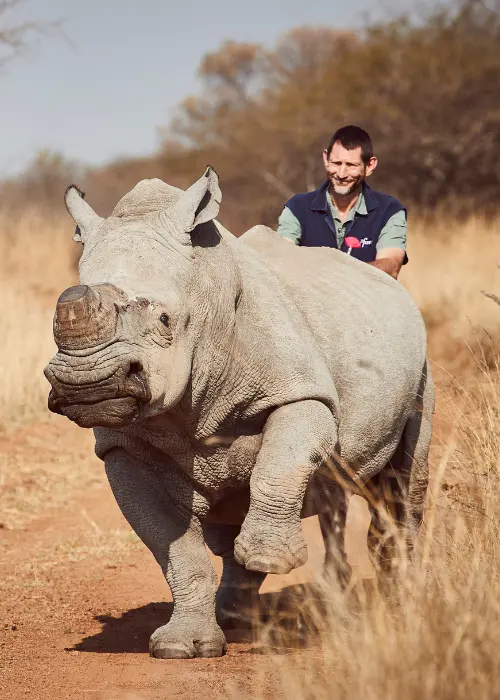 Rhino conservation work