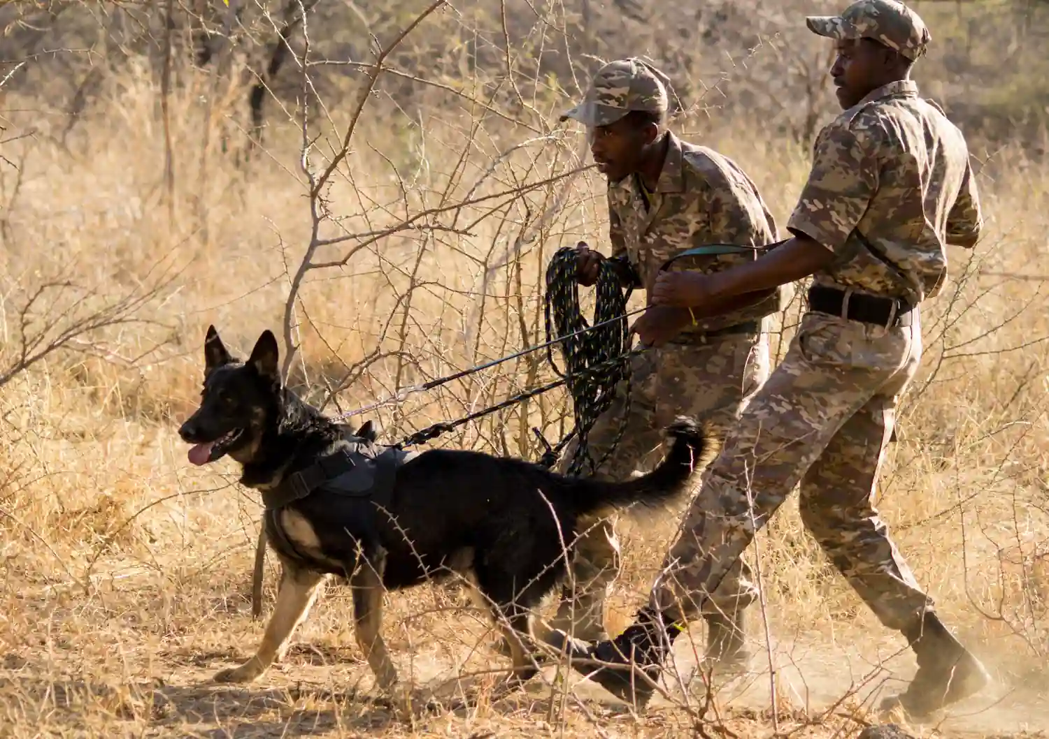 Rhino conservation at Mankwe