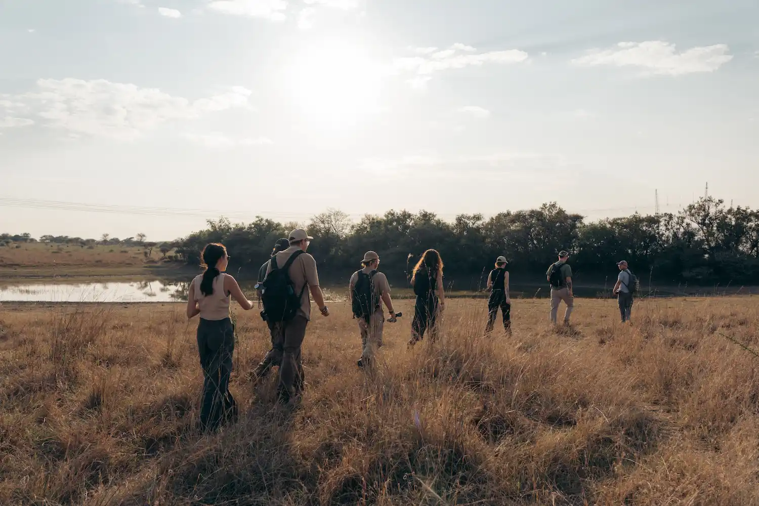 Nkombi volunteer conservation experience