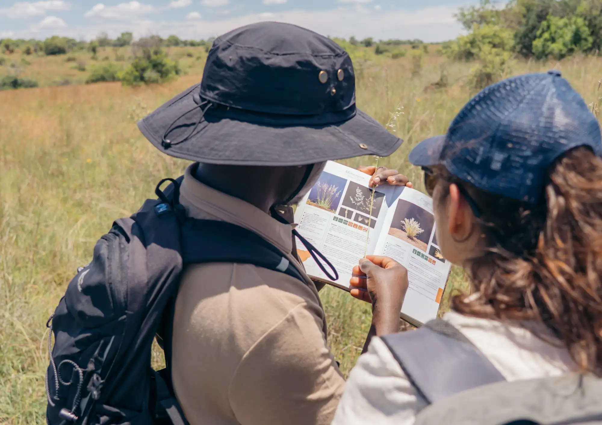 Wildlife reserve field work