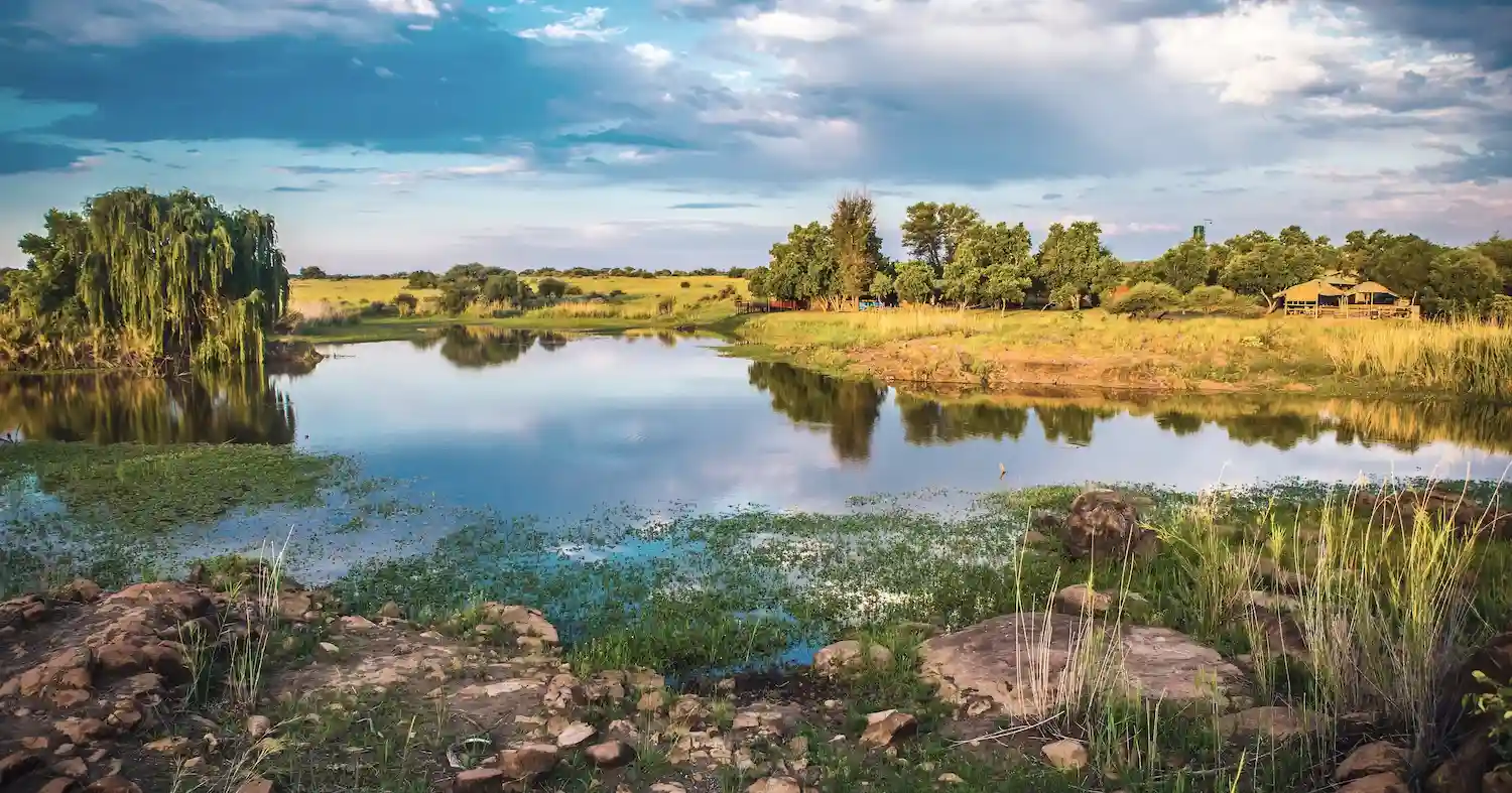 Mankwe Wildlife Reserve camp