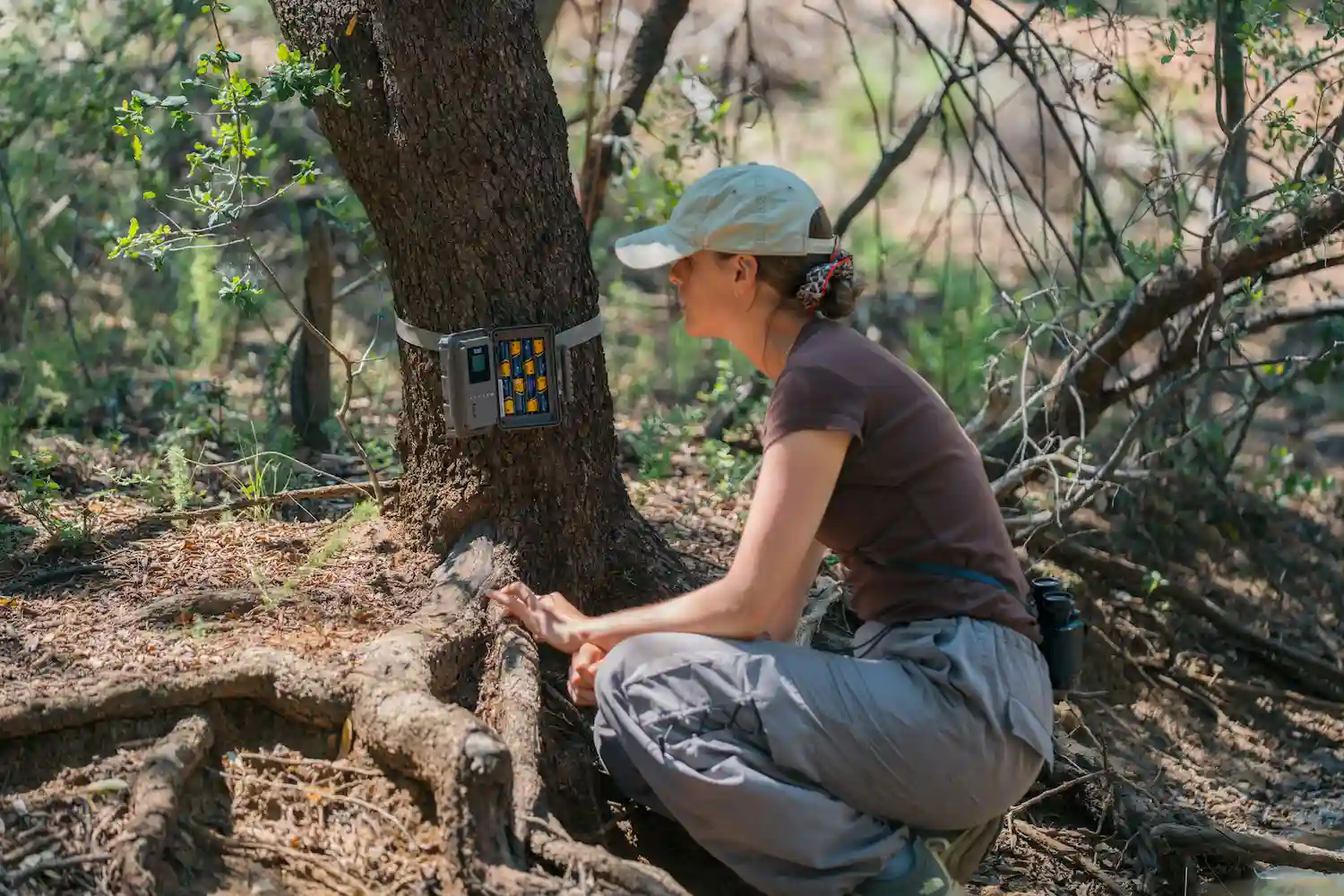 Research and education in the field