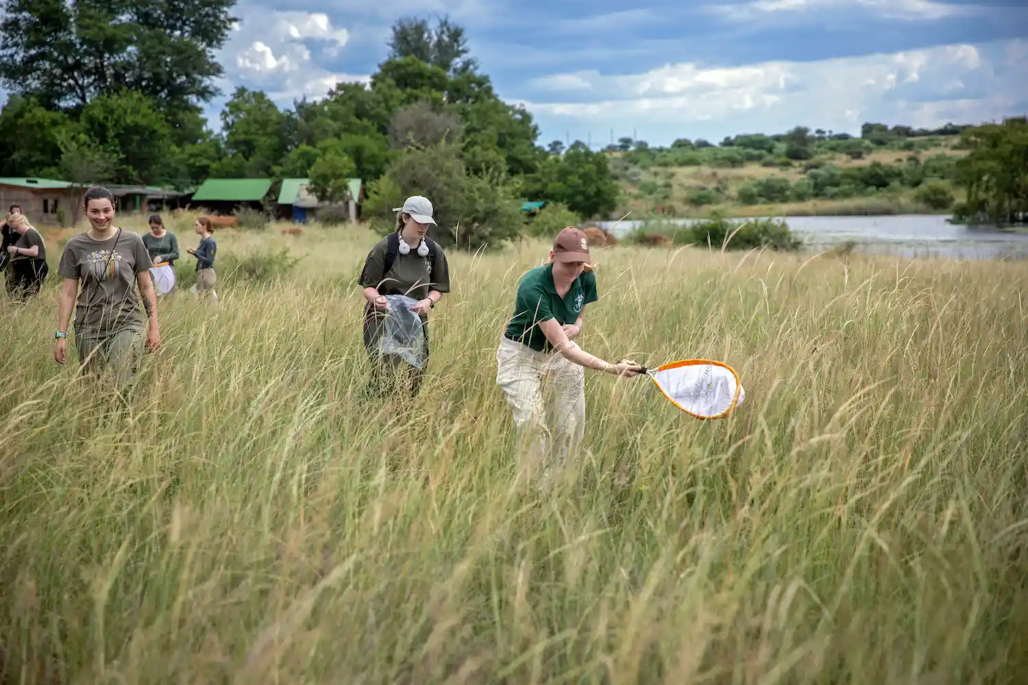 Wildlife monitoring education
