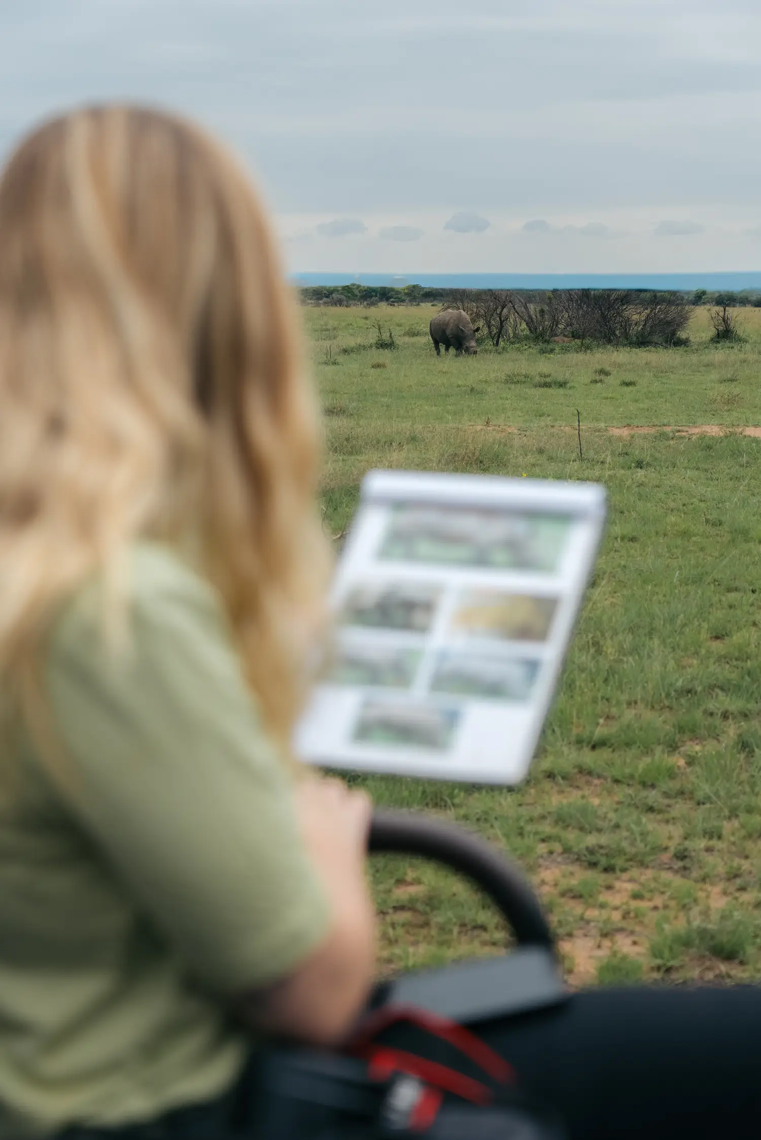 Wildlife monitoring in the reserve